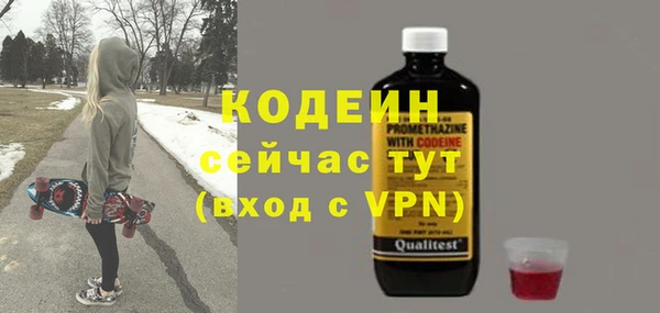 дживик Белокуриха