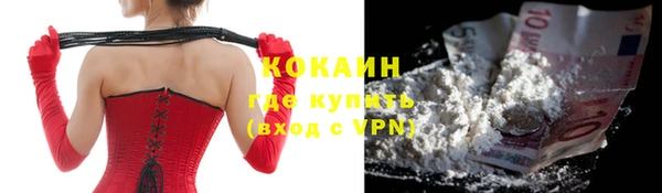 дживик Белокуриха