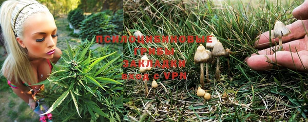 дживик Белокуриха