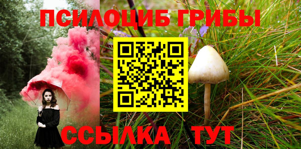 Псилоцибиновые грибы GOLDEN TEACHER Свободный
